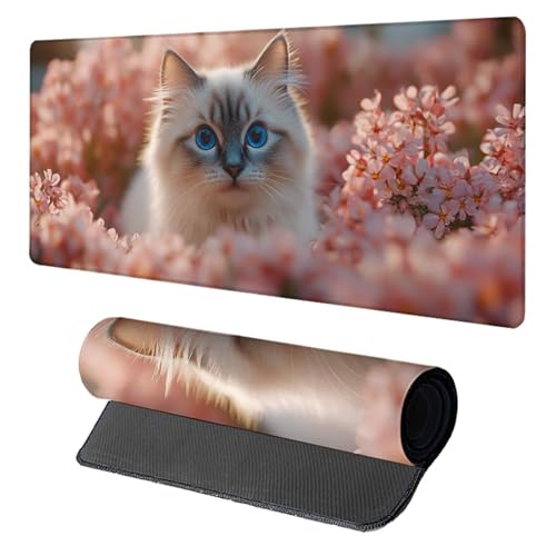 Katze Gaming Mauspad XXL, Schreibtischunterlage 1600x800x3mm, Wasserdicht und Langlebig Mauspad, Verbessert Präzision und Geschwindigkei Desk Mat, Gaming Zubehör, Mousepad für Büro PC, Rosa F-5298 Katze Gaming Mauspad XXL, Schreibtischunterlage 1600x800x3mm, Wasserdicht und Langlebig Mauspad, Verbessert Präzision und Geschwindigkei Desk Mat, Gaming Zubehör, Mousepad für Büro PC, Rosa F-5298 von Generic