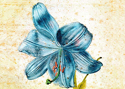 Kunstkarte Albrecht Dürer "Studie einer Lilie" von Generic