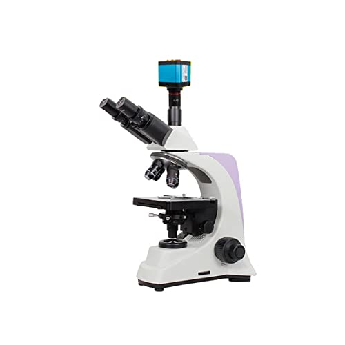 Mikroskop 1. 6mp 6k. Digitalkamera-Fernbedienung, Stereo-biologisches Mikroskop(Package 1) von Generic
