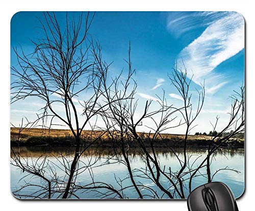 Mousepad, Laguna Lake Angeln Park Natur Landschaft Wasser rutschfest Computer-Mauspad Weich Gaming Mauspad Für Professionelle Gamer Maus Laptops 25X30Cm von Generic