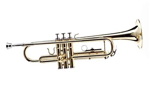 Riesiger Korb 1060 - Super Special Trompete Shinning Messing Politur für Marching Konzert Band Export Qualität mit Hardcase und 7c Mundstück von Generic