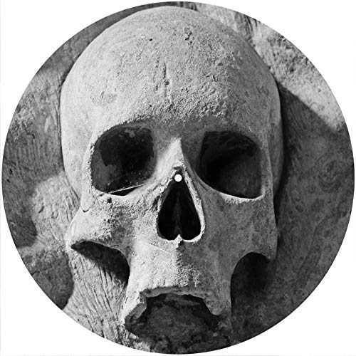 Slipmat Slip Mat Scratch Pad Filz für jeden 12" LP DJ Vinyl Plattenspieler Custom Graphical - Skull Rock Slipmat Slip Mat Scratch Pad Filz für jeden 12" LP DJ Vinyl Plattenspieler Custom Graphical - Skull Rock von Generic