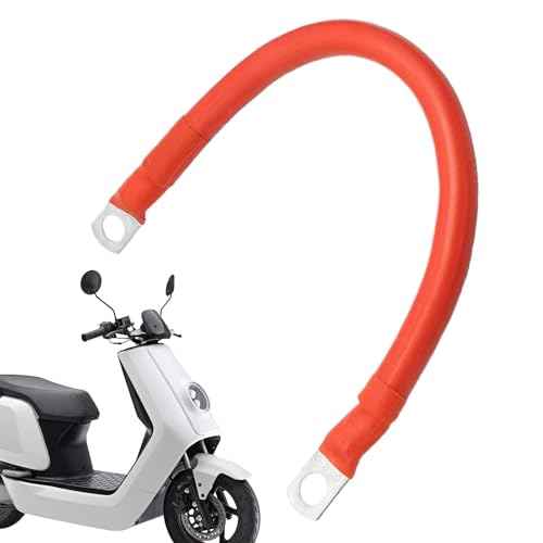 Batteriekabel, Batteriekabel-Set, 8 AWG Batteriekabel mit Klemmen | Batteriewechselrichterkabel, robuste Automobilkabel, 19,69 Zoll Starthilfekabel für tote Starthilfe Batteriekabel, Batteriekabel-Set, 8 AWG Batteriekabel mit Klemmen | Batteriewechselrichterkabel, robuste Automobilkabel, 19,69 Zoll Starthilfekabel für tote Starthilfe von Générique