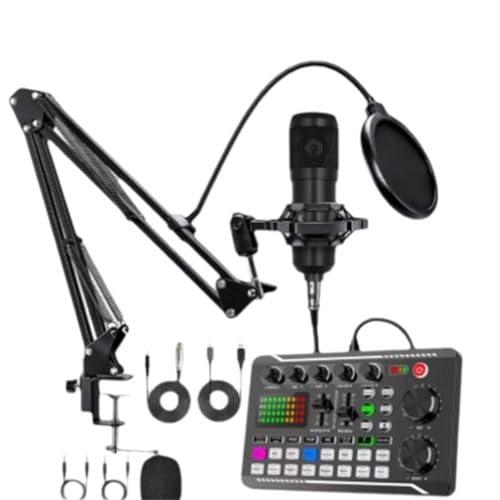 1 Set Live-Streaming-Soundkarte mit klarem Klang und mehreren Standmodi, Mikrofon, Stimmverschönerung von Generisch
