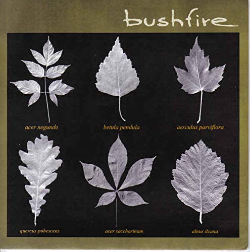 BUSHFIRE Bushfire 7" Vinyl Single von Generisch