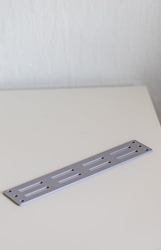 Blende 1U (1HE) für 10 Zoll Rack – Frontplatte mit oder ohne Wunschtext – 3D-Druck für Home Lab Netzwerkschrank & Serverrack (Silver, 1U - 8 Lüftungsschlitze) von Generisch