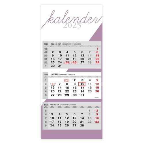 JAROGRAF Wandkalender 2025 – 3-Monats-Kalender mit praktischem Wandplaner für effiziente Jahresplanung, Feiertage, Schulferien und wichtige Termine (Lila) Dreimonatskalender von Generisch