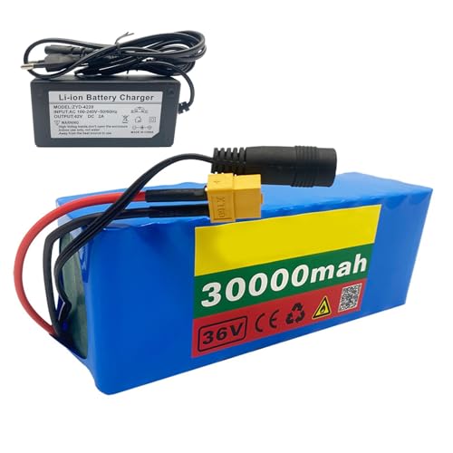 Lithium Ebike Akku mit Ladegerät, Hohe Kapazität Power Pack für Elektrofahrräder und Roller, SM-Stecker kompatibel von Generisch