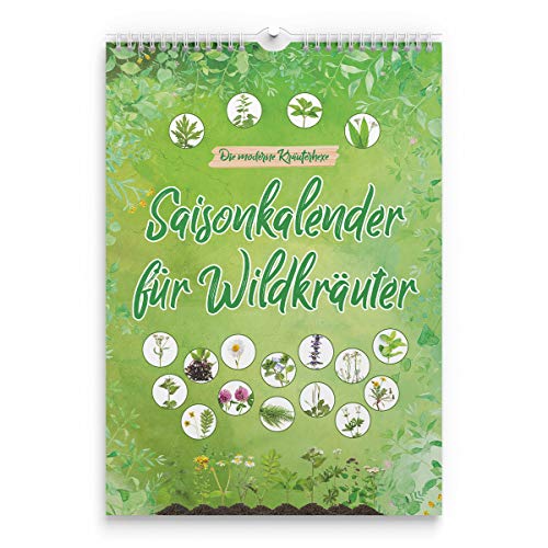 Saisonkalender für Wildkräuter - ewiger Erntekalender für Wildpflanzen - die moderne Kräuterhexe von Generisch