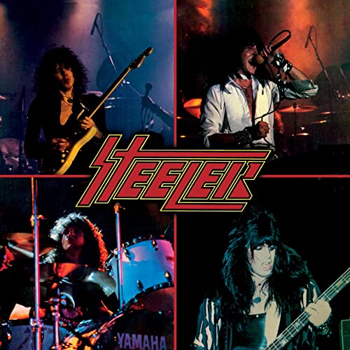 Steeler [Vinyl LP] von Generisch