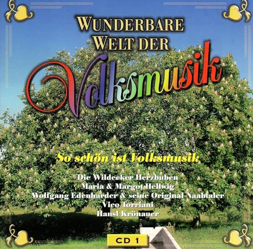 Wunderbare Welt der Volksmusik CD 1 von Generisch