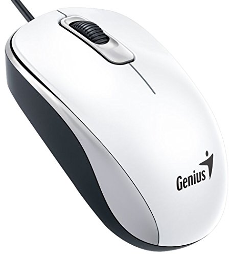 Genius DX-110 USB Optisch 1000DPI Ambidextrös Weiß Maus - Mäuse (USB, Büro, Gedrückte Tasten, Rad, Optisch, 1000 DPI) von Genius