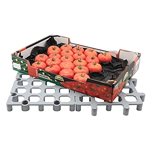 Genware nev-flrck Rack, PP, aus Kunststoff, robust, Ladungsträger Boden, 33 cm von Genware