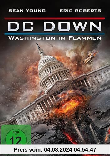 DC Down – Washington in Flammen von Geoff Meed