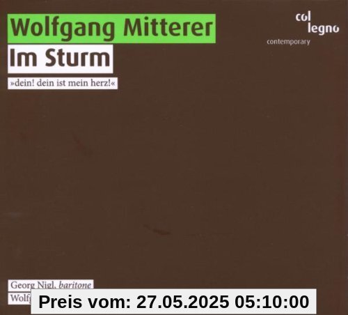 Im Sturm von Georg Nigl