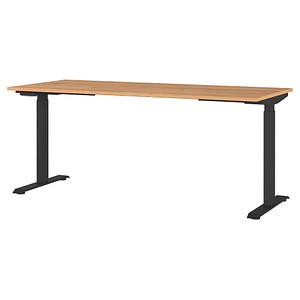 GERMANIA JET höhenverstellbarer Schreibtisch grandson-eiche rechteckig, T-Fuß-Gestell schwarz 180,0 x 80,0 cm GERMANIA JET höhenverstellbarer Schreibtisch grandson-eiche rechteckig, T-Fuß-Gestell schwarz 180,0 x 80,0 cm von Germania