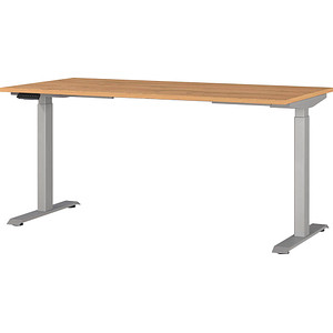 GERMANIA JET höhenverstellbarer Schreibtisch grandson-eiche rechteckig, T-Fuß-Gestell silber 160,0 x 80,0 cm GERMANIA JET höhenverstellbarer Schreibtisch grandson-eiche rechteckig, T-Fuß-Gestell silber 160,0 x 80,0 cm von Germania