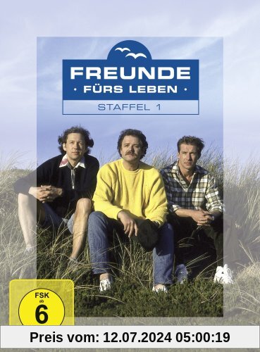 Freunde fürs Leben - Staffel 1 (4 DVDs) von Gero Erhardt