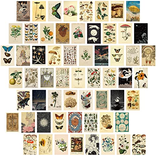 Gersoniel Postkarten-Set, Vintage-Kollektion, Retro-Stil, botanischer Schmetterling, Pilz, Natur und Ephemera-Postkarten für DIY-Kartenpapier, 60 Stück von Gersoniel