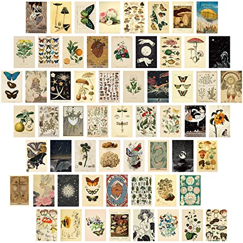 Gersoniel Postkarten-Set, Vintage-Kollektion, Retro-Stil, botanischer Schmetterling, Pilz, Natur und Ephemera-Postkarten für DIY-Kartenpapier, 60 Stück Gersoniel Postkarten-Set, Vintage-Kollektion, Retro-Stil, botanischer Schmetterling, Pilz, Natur und Ephemera-Postkarten für DIY-Kartenpapier, 60 Stück von Gersoniel