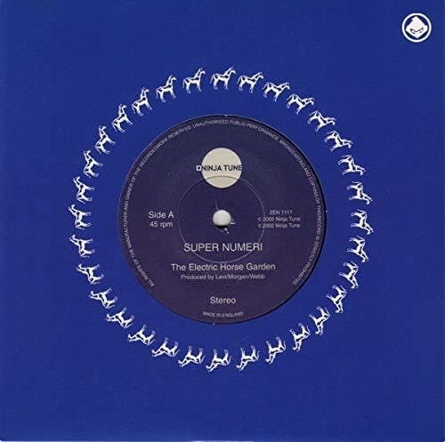 Electric Horse Garden [Vinyl Single] von Gestrichen (Rough Trade)