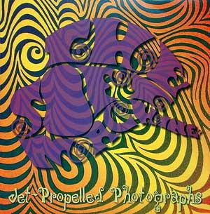 Jet-Propelled Photographs [Vinyl LP] von Get Back (Cargo Records)
