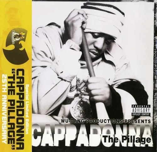 The Pillage [VINYL] [Vinyl LP] von Get on Down