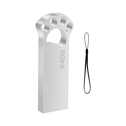 USB Stick 64GB Lustig Speicherstick 64 GB Slim USB 2.0 Flash Drive Wasserfest Pen Drive 64GB mit Schlüsselanhänger für Schule Büro Auto PC Laptop (Silber) von Geweo