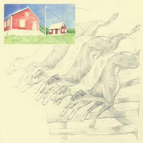 I Heard That Noise (Mint Green Vinyl) [Vinyl LP] von Ghostly International