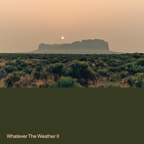Whatever the Weather II (Ltd. Drak Green Vinyl) [Vinyl LP] von Ghostly International / Cargo