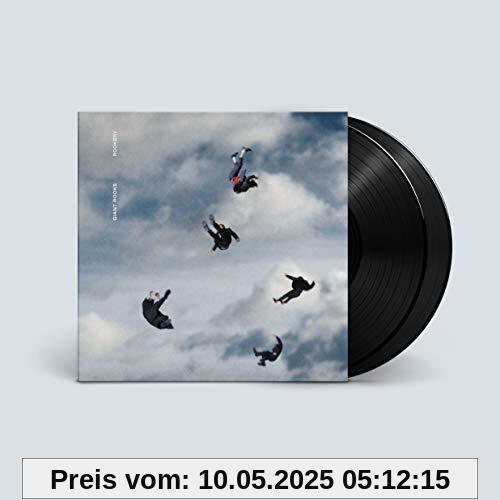 Rookery [Vinyl LP] von Giant Rooks