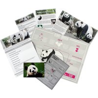 „Adoptiere einen Panda“ Geschenkset von Gift Republic