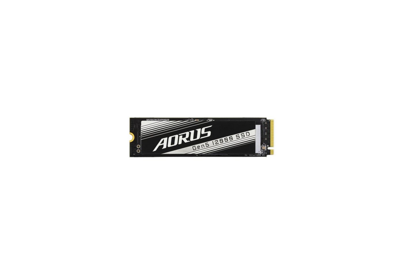 Gigabyte AORUS Gen5 12000 interne SSD von Gigabyte