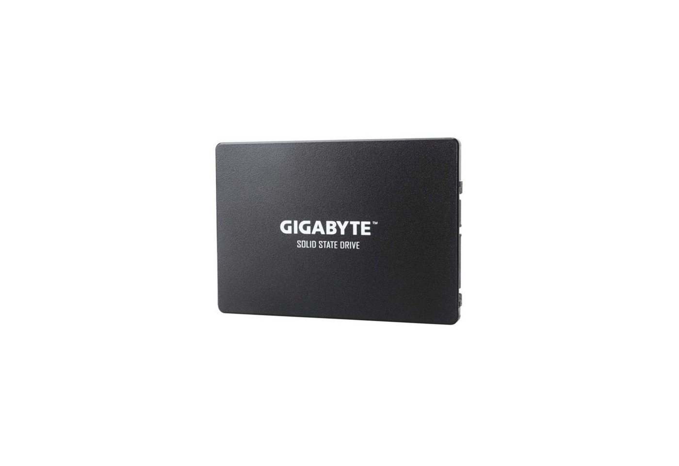 Gigabyte GP-GSTFS31100TNTD interne SSD von Gigabyte