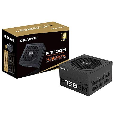 Gigabyte GP-P750GM von Gigabyte