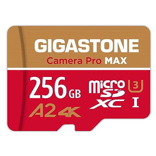 [5 Jahre kostenlose Datenwiederherstellung] GIGASTONE 256 GB Micro SD Karte, Kamera Pro MAX, bis zu 130/85 MB/s, MicroSDXC-Speicherkarte für DJI, Gopro, Insta360, Dashcam, 4K Video, UHS-I A2 V30 von Gigastone