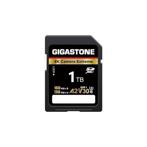 GIGASTONE 1 TB SD-Karte, 4K Camera Extreme, A2 V30 U3 SDXC Speicherkarte High Speed UHD Video kompatibel mit Canon Nikon Sony Panasonic Digitalkamera, mit 1 Mini-Hülle von Gigastone