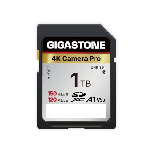 GIGASTONE 1TB SD-Karte, 4K Kamera Pro, Geschwindigkeit bis zu 150/120 MB/s, V30 U3 SDXC Ultra HD UHD Video für DSLR, Canon, Nikon, Sony, Pentax, Kodak, Olympus, Panasonic, mit 1 Mini-Tasche GIGASTONE 1TB SD-Karte, 4K Kamera Pro, Geschwindigkeit bis zu 150/120 MB/s, V30 U3 SDXC Ultra HD UHD Video für DSLR, Canon, Nikon, Sony, Pentax, Kodak, Olympus, Panasonic, mit 1 Mini-Tasche von Gigastone
