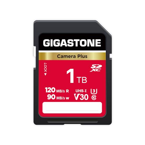 GIGASTONE 1 TB SD-Karte, Kamera Plus, Geschwindigkeit bis zu 120/90 MB/s, U3 SDXC Ultra HD UHD Video für DSLR, Canon, Nikon, Sony, Pentax, Kodak, Olympus, Panasonic, mit 1 Mini-Tasche von Gigastone