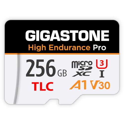 GIGASTONE 256 GB Micro-SD-Karte, hohe Ausdauer Pro Series Geschwindigkeit bis zu 100 MB/s, kompatibel mit Redtiger Rove VIOFO VANTRUE PRUVEEO ARIFAYZ Dash Cam, MicroSDXC UHS-I A1 V30 U3 von Gigastone