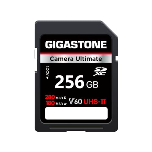 GIGASTONE UHS-II V60 256GB SD Karte, Ultimative Kamera, Geschwindigkeit bis zu 280/180MB/s, U3 SDXC 4K Ultra HD UHD Video für DSLR Canon, Nikon, Sony, Pentax, Kodak, Panasonic, inkl. 1 Mini Tasche von Gigastone
