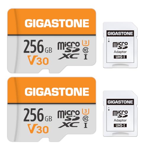 Gigastone Micro-SD-Karte, 256GB, 4K Video Pro, GoPro, Überwachung, Sicherheitskamera, Action-Kamera, Drohne, 100 MB/s MicoSDXC-Speicherkarte UHS-I V30 Klasse 10, 2 Stück von Gigastone