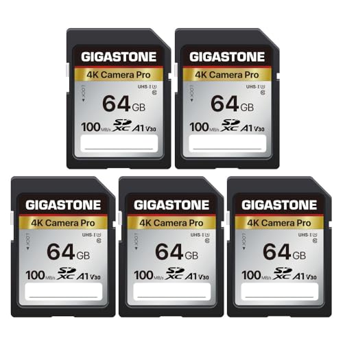 Gigastone SD-Karte V30, SDXC, 64 GB, High-Speed, 4K, Ultra HD, UHD, Video, kompatibel mit Canon, Nikon, Sony, Pentax, Kodak, Olympus, Panasonic, Digitalkamera, 5 Stück von Gigastone