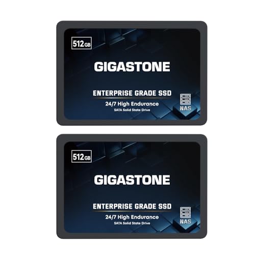 Gigastone Enterprise 512 GB NAS SSD 24/7 High Endurance Business Server Homelab Network Attached Storage Cache RAID 2,5 Zoll SATA III Internes Solid State Drive 3D NAND SLC Cache Speichererweiterung von Gigastone