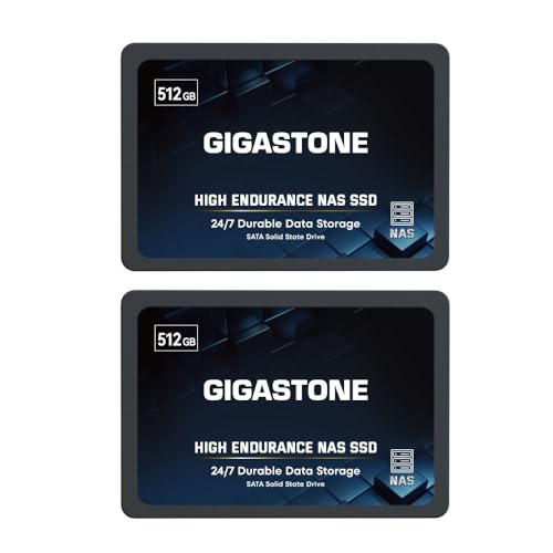 Gigastone Enterprise 512 GB NAS SSD 24/7 High Endurance Business Server Homelab Network Attached Storage Cache RAID 2,5 Zoll SATA III Internes Solid State Drive 3D NAND SLC Cache Speichererweiterung von Gigastone