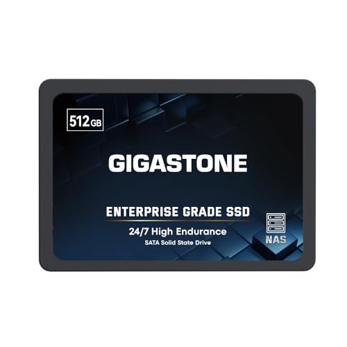 Gigastone Enterprise 512 GB NAS SSD 24/7 High Endurance Business Server Homelab Network Attached Storage Cache RAID 2,5 Zoll SATA III Internes Solid State Drive 3D NAND SLC Cache Speichererweiterung von Gigastone