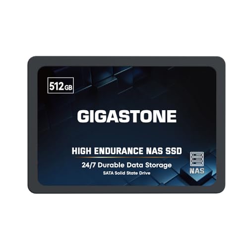 Gigastone Enterprise 512 GB NAS SSD 24/7 High Endurance Business Server Homelab Network Attached Storage Cache RAID 2,5 Zoll SATA III Internes Solid State Drive 3D NAND SLC Cache Speichererweiterung von Gigastone