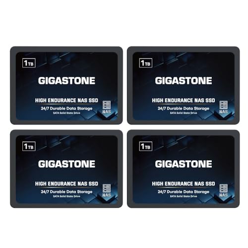 Gigastone NAS SSD 1TB SSD Festplatte (4er-Pack) TLC Hohe Dauerhaltbarkeit SSD für 24/7 Dauerbetrieb NAS-Systeme RAID 2,5 Zoll SATA III Internes Festkörper-Laufwerk NAS Caching von Gigastone