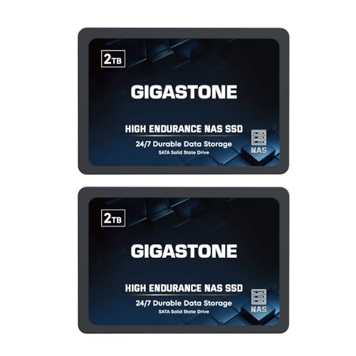 Gigastone NAS SSD 2TB Festplatte (2er-Pack) TLC Hohe Dauerhaltbarkeit für 24/7 Dauerbetrieb NAS-Systeme RAID 2,5 Zoll SATA III Internes Festkörper-Laufwerk Caching von Gigastone