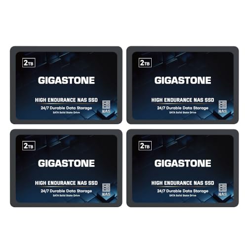 Gigastone NAS SSD 2TB Festplatte (4er-Pack) TLC Hohe Dauerhaltbarkeit für 24/7 Dauerbetrieb NAS-Systeme RAID 2,5 Zoll SATA III Internes Festkörper-Laufwerk Caching von Gigastone